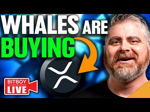 XRP MEGA RALLY! (Crypto Whales BUYING)