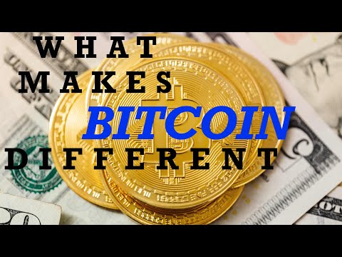 WHAT makes BITCOIN DIFFERENT?! #bitcoin #crypto #blockchain #cryptocurrency #bitcoinnews