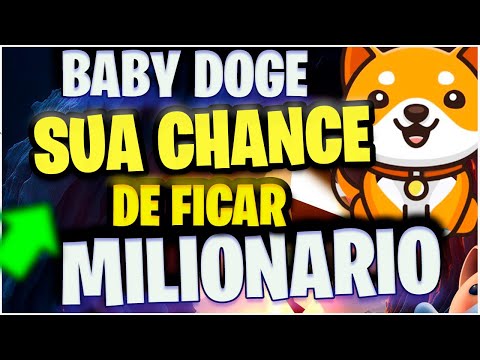 BABY DOGE COIN HOJE PODE VIRAR SCAM OU BINANCE LISTA