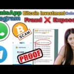 img_97191_whatsapp-telegram-scam-exposed-online-jobs-prepaid-bitcoin-invest-share-market-investment.jpg