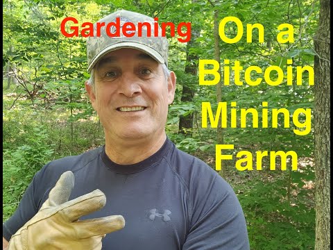 Gardening on a Bitcoin Mining Farm
