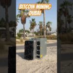 Bitcoin Mining in Dubai -Abu Dhabi - UAE ☀️☀️☀️ Antminer Beach Solarstrom im Überfluss