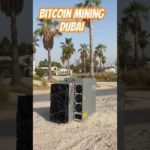 img_97359_bitcoin-mining-in-dubai-abu-dhabi-uae-antminer-beach-solarstrom-im-uberfluss.jpg