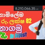 Online Job Sinhala | No Deposit | E Money Site Sinhala | Online Jobs Sri Lanka 2023