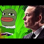 img_97419_elon-musk-chamou-de-scam.jpg