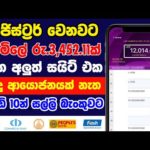 img_98085_earn-money-online-sinhala-2023-free-online-job-sinhala-part-time-jobs.jpg