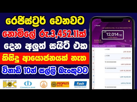 Earn Money Online Sinhala 2023 | Free Online Job Sinhala | Part Time Jobs