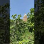A wonderful video in the mountainous nature #bitcoin #mining #الشاوني
