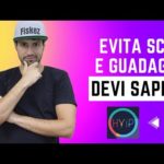 img_98293_evita-gli-scam-online-e-vai-in-guadagno-aggiornamento-settimanale-crypto-hyip-devi-saperlo.jpg