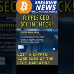Ripple CEO: SEC In Check!  -  #ripple #xrp #sec #bitcoin #crypto #cryptocurrency #shorts