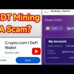 Crypto.com | DeFi Wallet: USDT Mining A Scam?