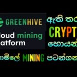 img_99155_earn-money-online-in-sinhala-earn-unlimited-crypto-currencies-one-flat-form-green-hive.jpg