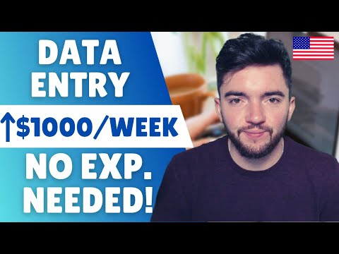 $1,000/WEEK Remote Data Entry Jobs NO EXPERIENCE 2023