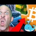 BITCOIN DANGER: WHALES ARE....