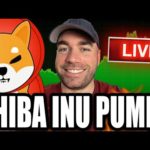 img_99728_live-shiba-inu-pumping-bitcoin-indecision-amp-altcoins-heating-up-crypto-news-today.jpg